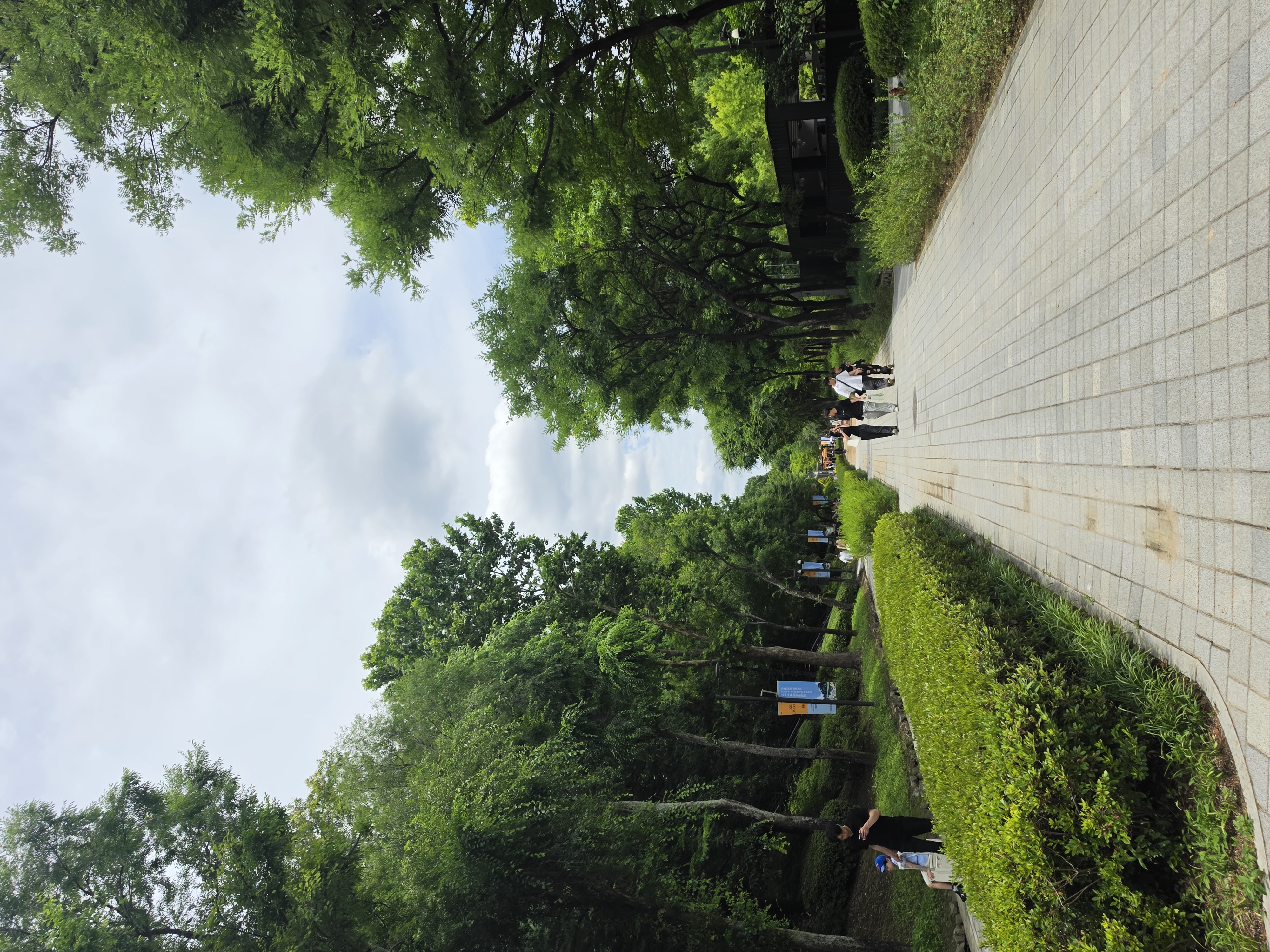 Seoul Forest in Seongsu
